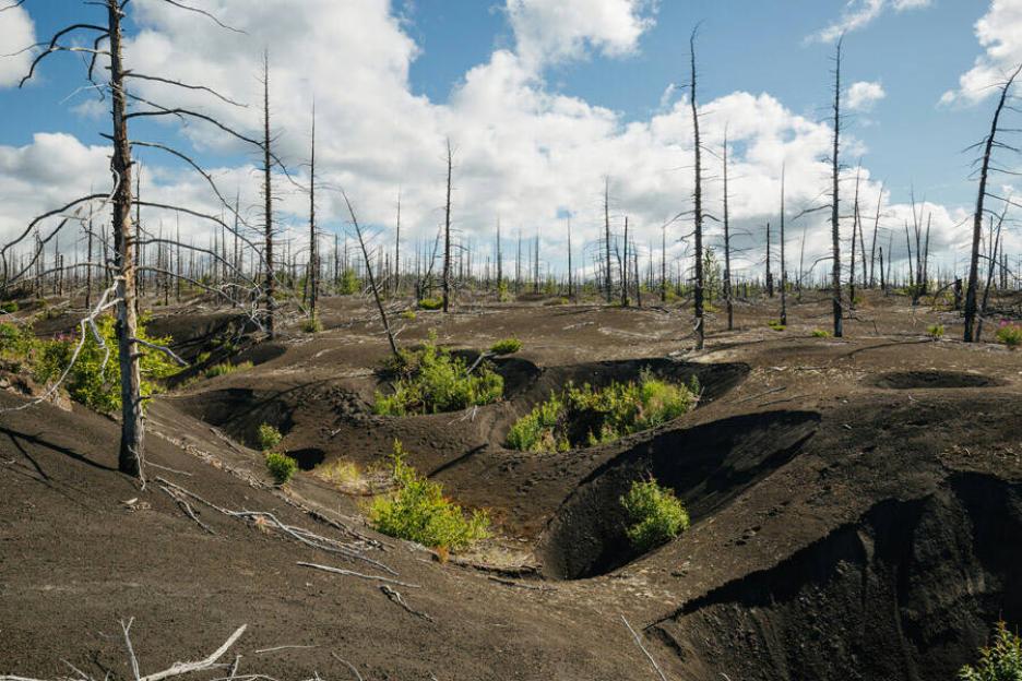 фото img_691db7d6b3163.jpg