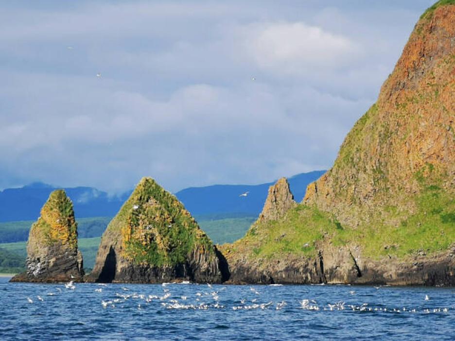 фото img_691de8ba690f8.jpg