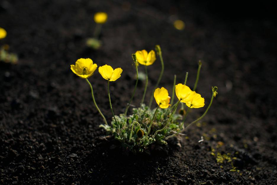 фото img_691de995d16b8.jpg