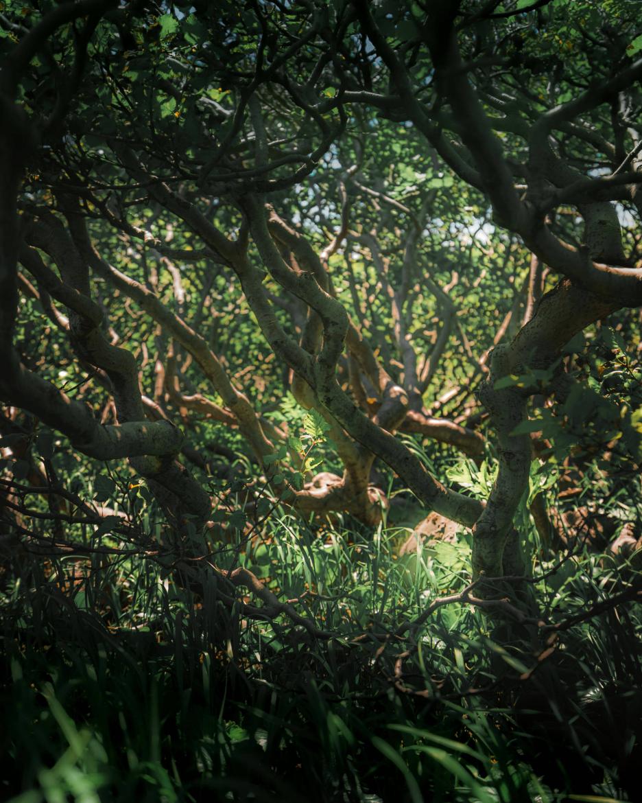 фото img_6920702fd8b0e.jpg