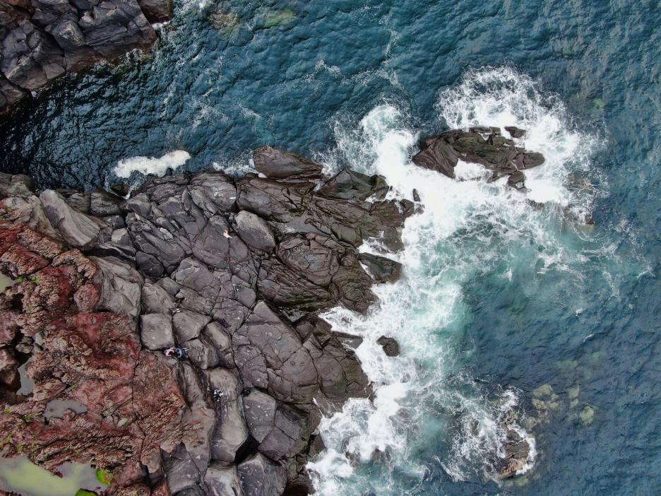 фото img_6926b9c2c37f0.jpg