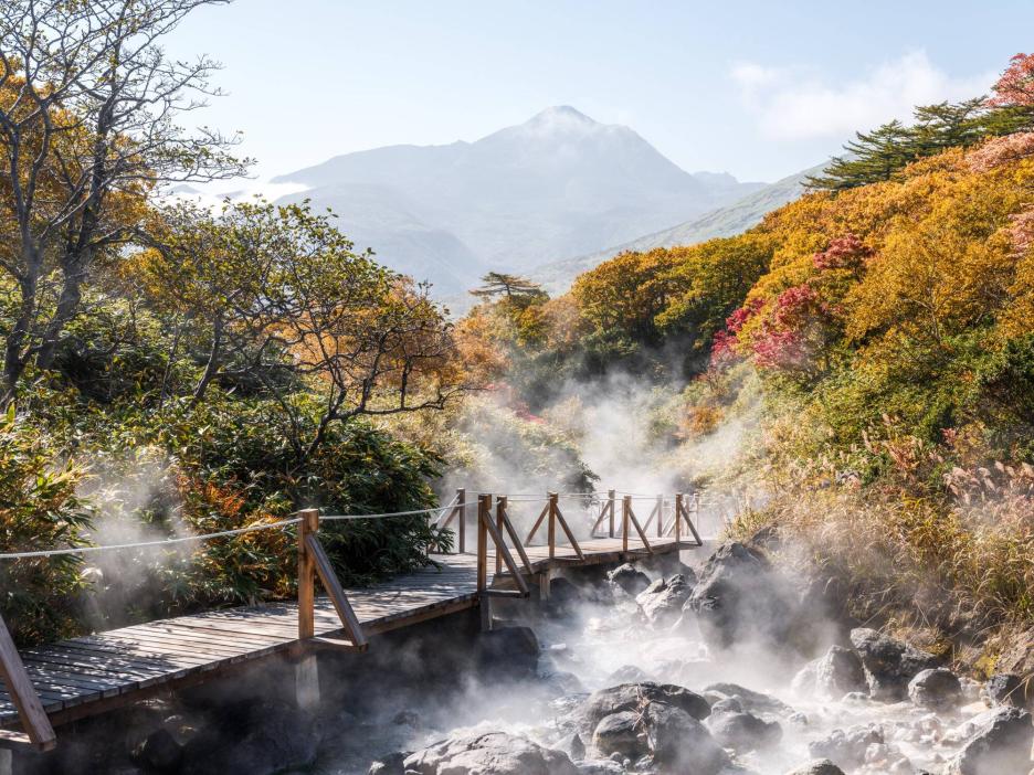 фото img_6926f481c024c.jpg