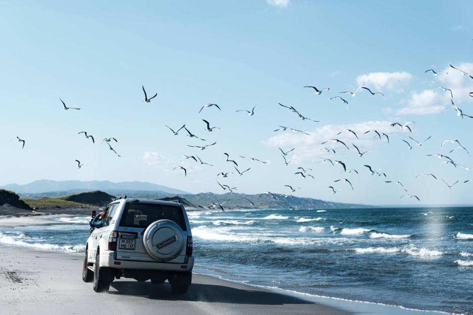 фото img_69270717a944b.jpg