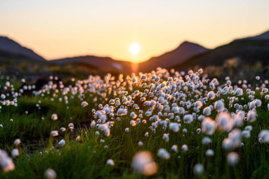 фото img_69289cc4ced84.jpg