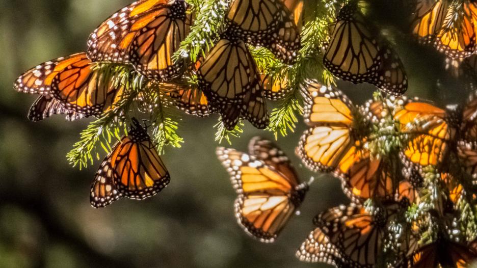 фото img_692eb78c4cd0c.jpg