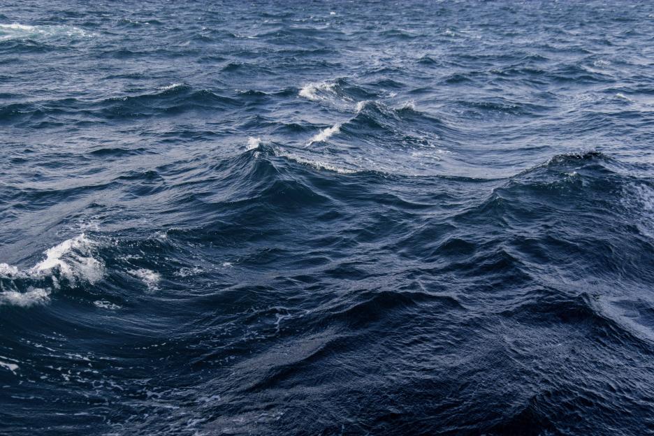 фото img_69306145c97d8.jpg