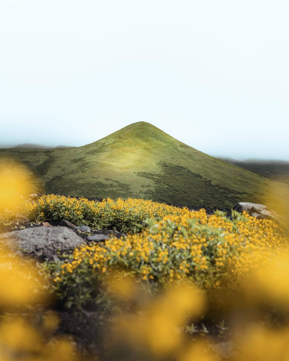 фото img_693061478b29c.jpg