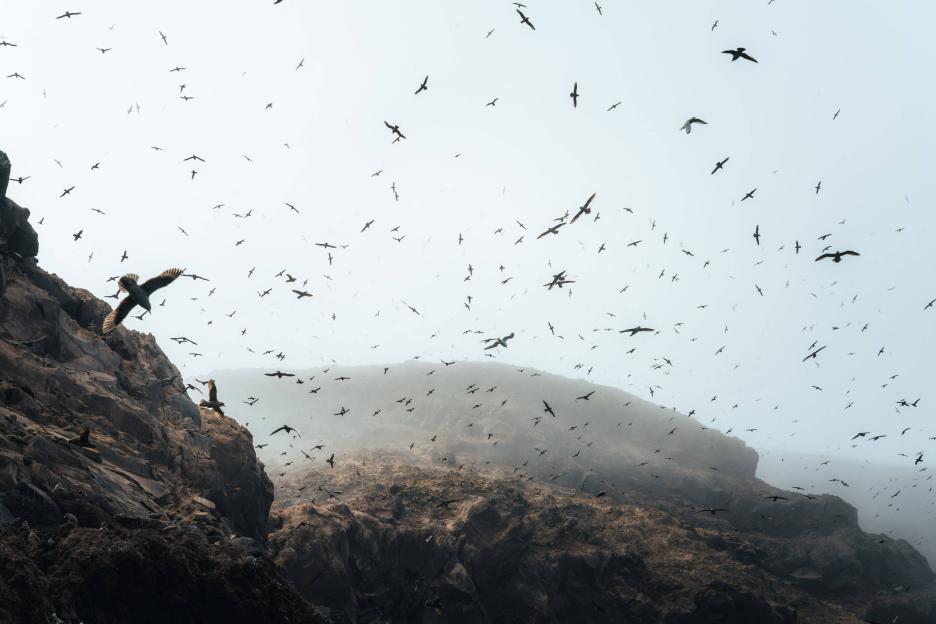 фото img_6930614a203b0.jpg