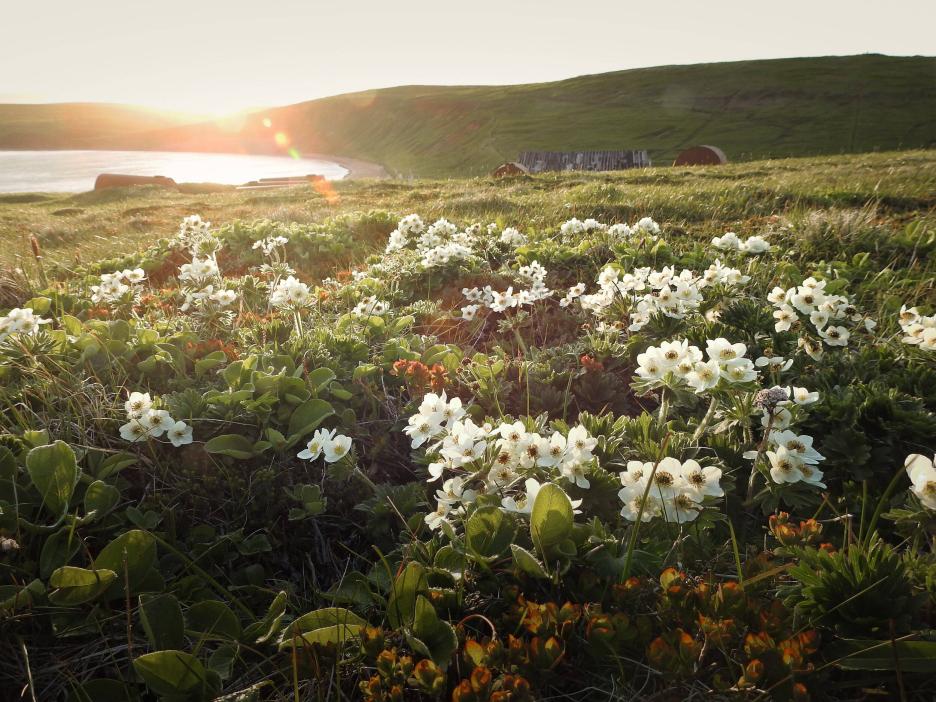 фото img_6930616441ec8.jpg