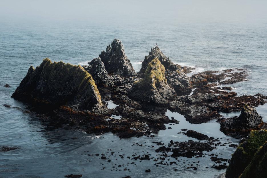 фото img_6930616a035ec.jpg