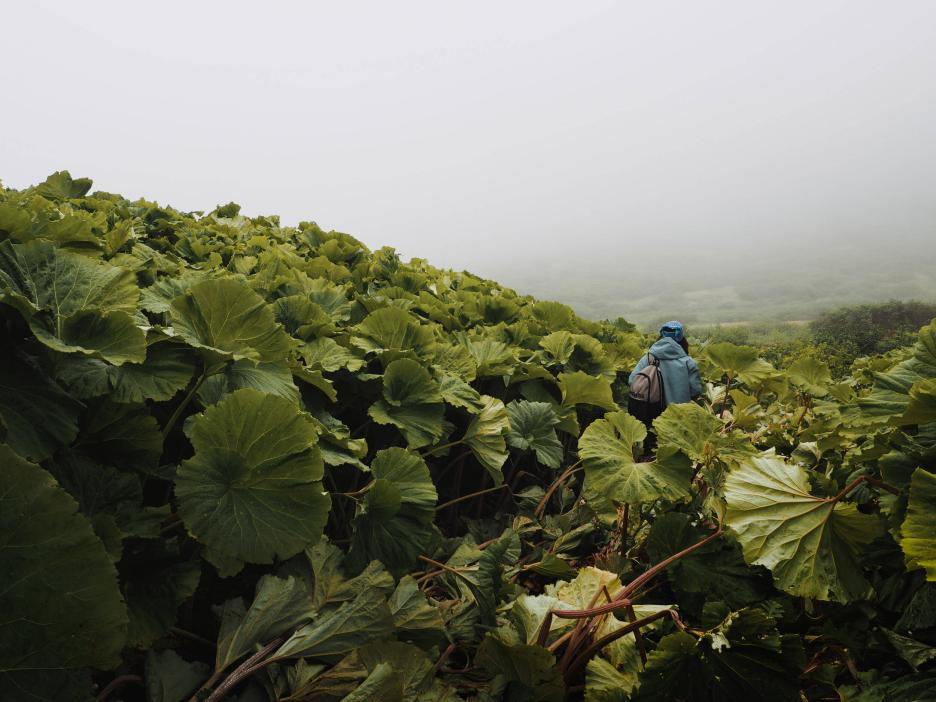 фото img_693061705a8ab.jpg