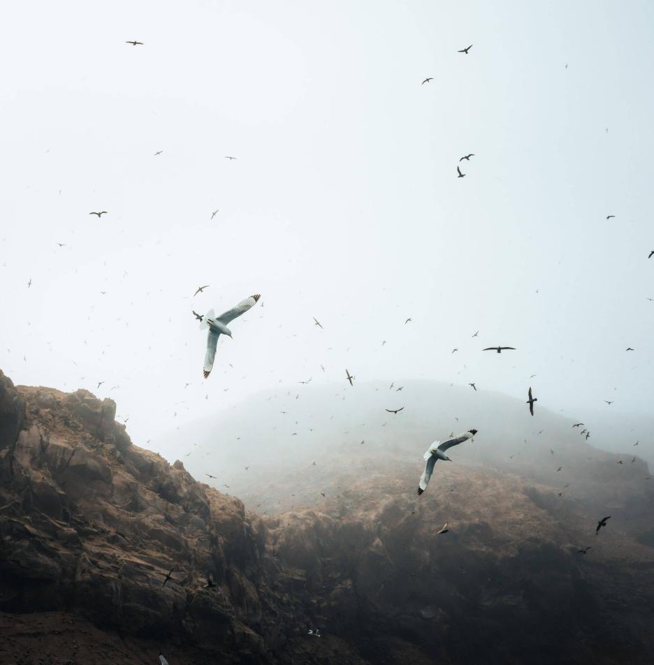 фото img_69306172491cc.jpg