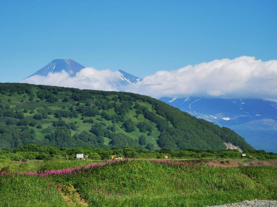 фото img_6932f90186450.jpg