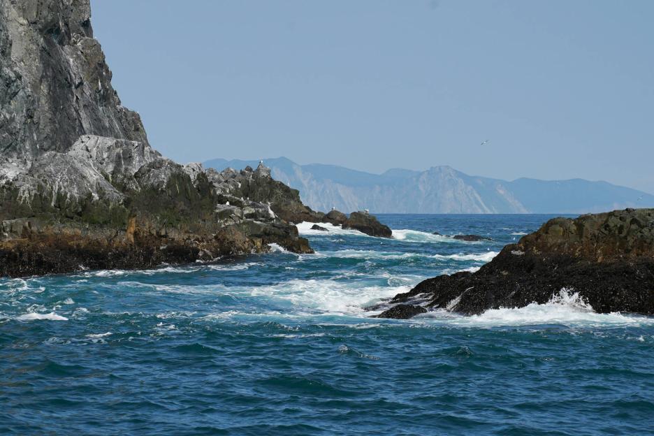 фото img_69344f52c00b8.jpg