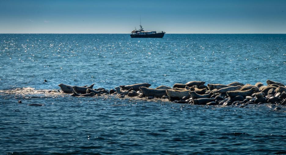 фото img_693461dc38626.jpg