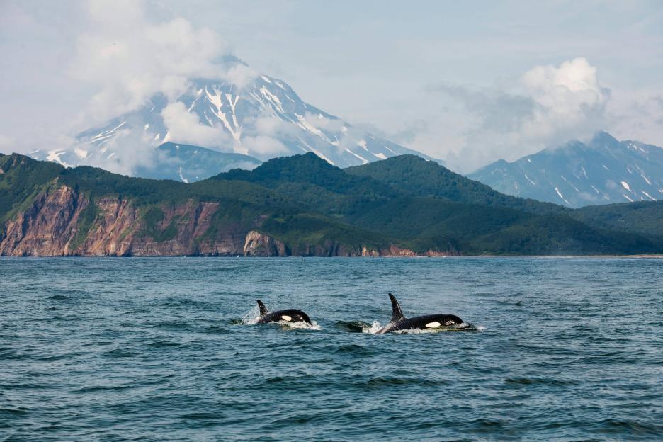 фото img_6934648b9482e.jpg