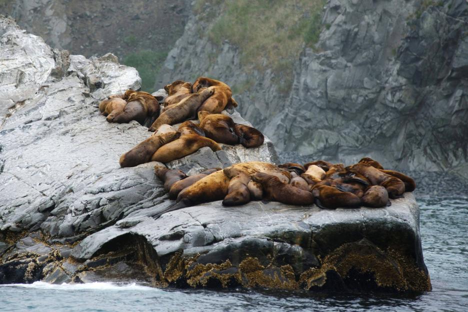 фото img_69346fb9bdb02.jpg