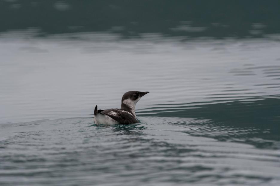 фото img_6934903ff2719.jpg