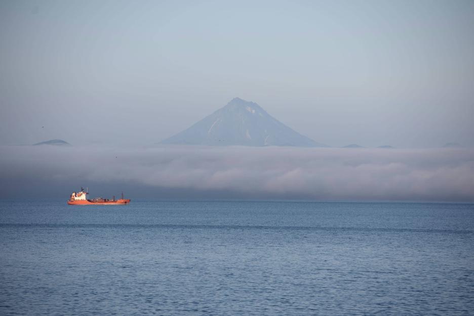 фото img_69367cf0c76c3.jpg