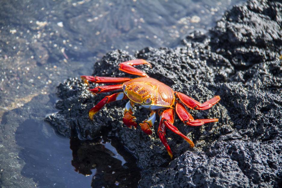 фото img_693bbb2be7831.jpg