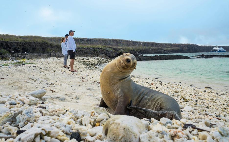 фото img_693bbd9a2b49f.jpg