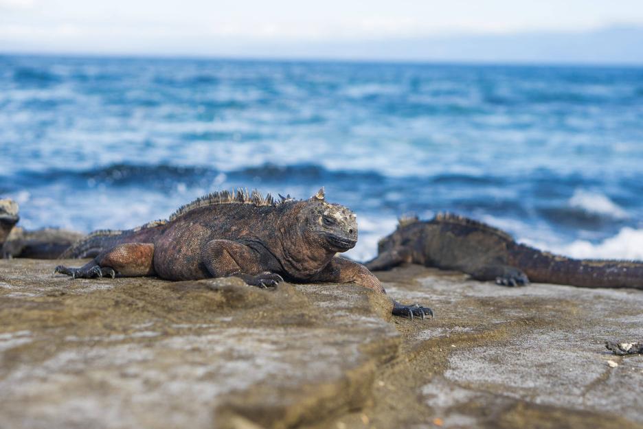 фото img_693bbd9bd680f.jpg