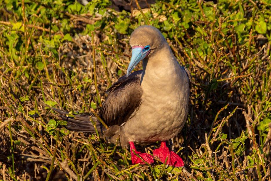 фото img_693bbd9dabdbb.jpg