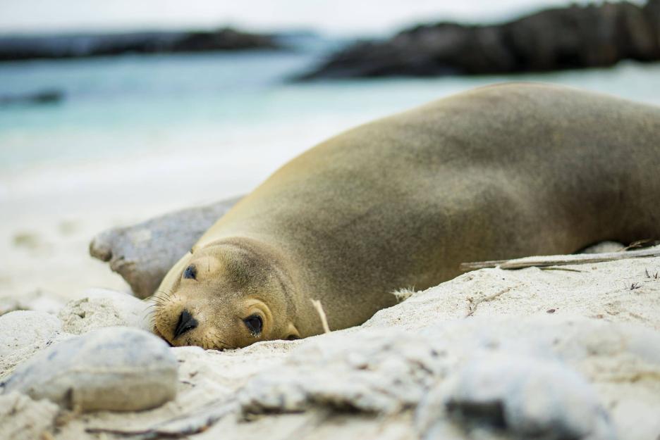 фото img_693bbd9f64842.jpg