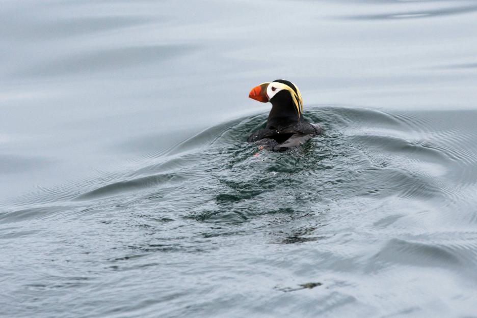 фото img_693bbf8c77ae4.jpg