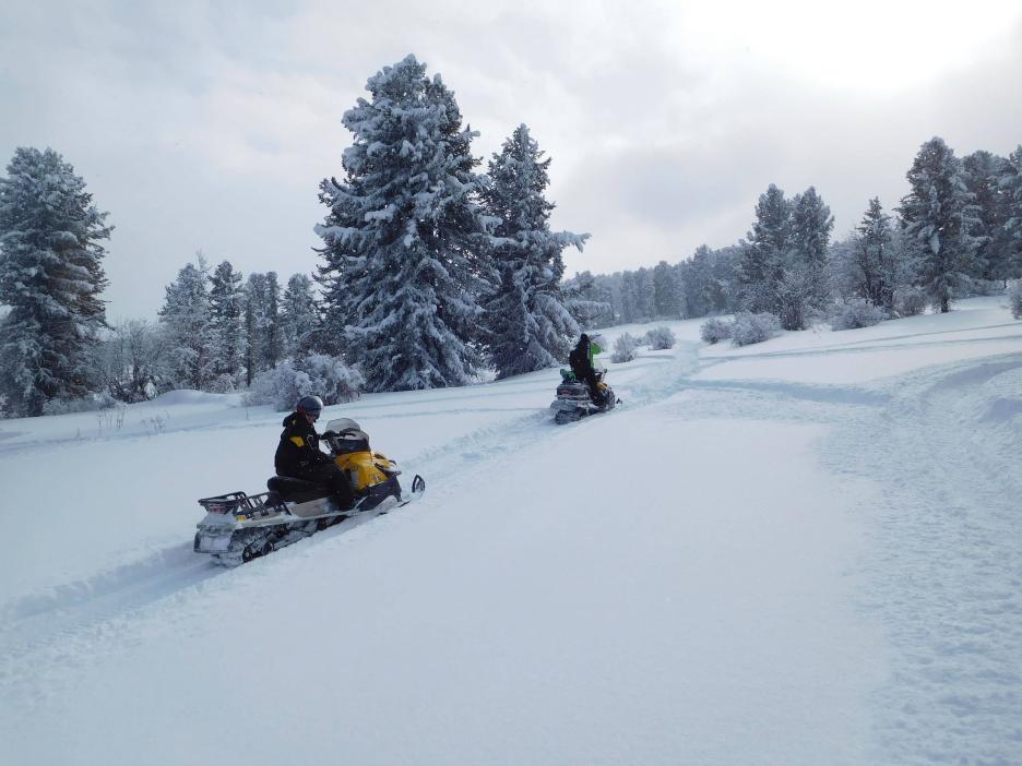 фото img_6941057bb945c.jpg