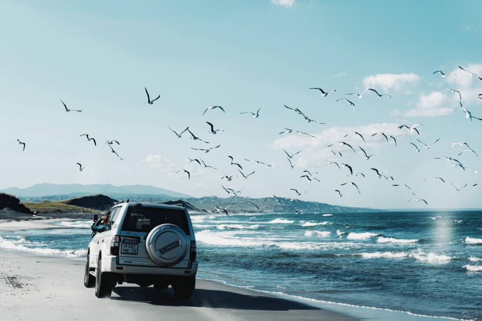 фото img_69441feb8d056.jpg