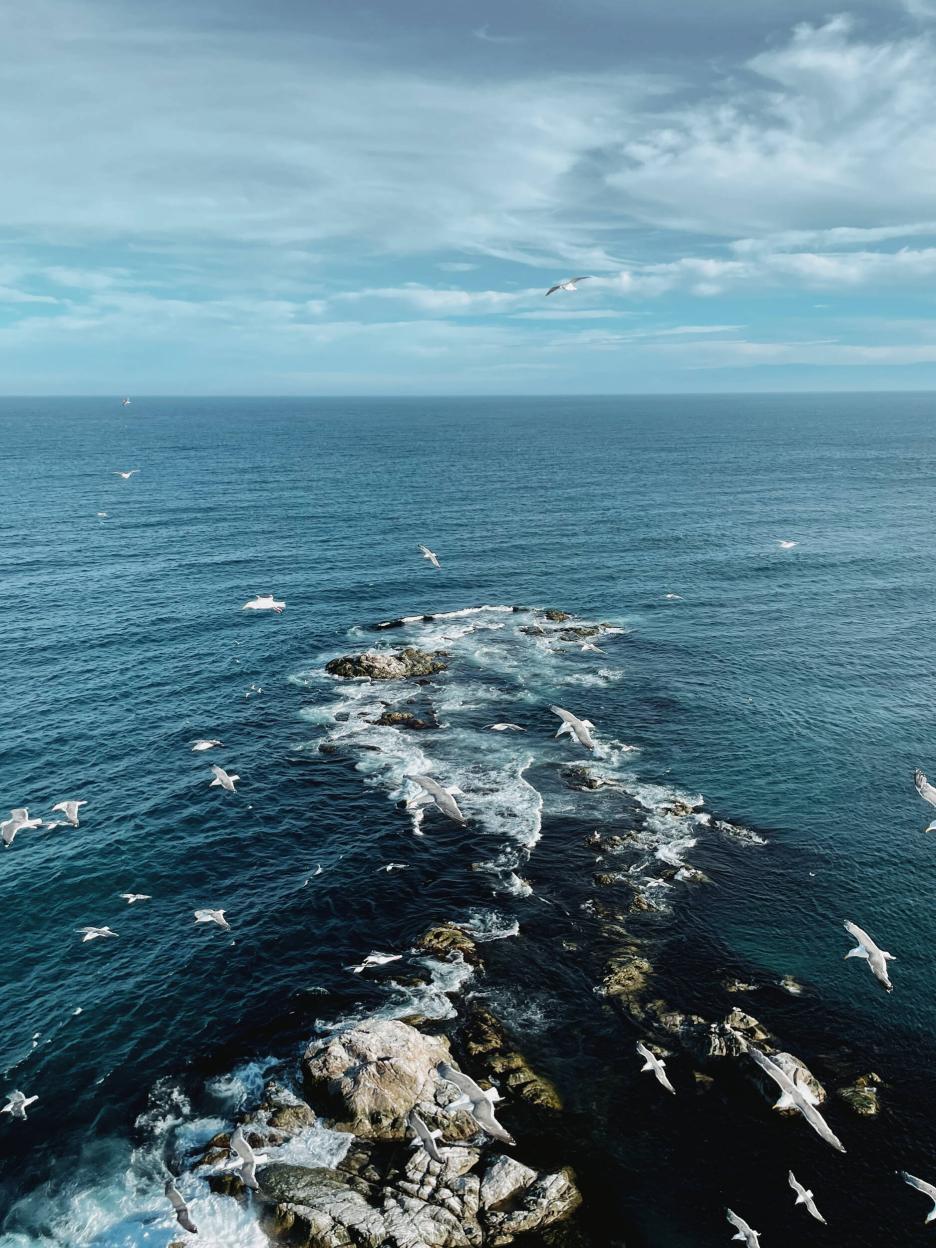 фото img_69442010eb8d6.jpg