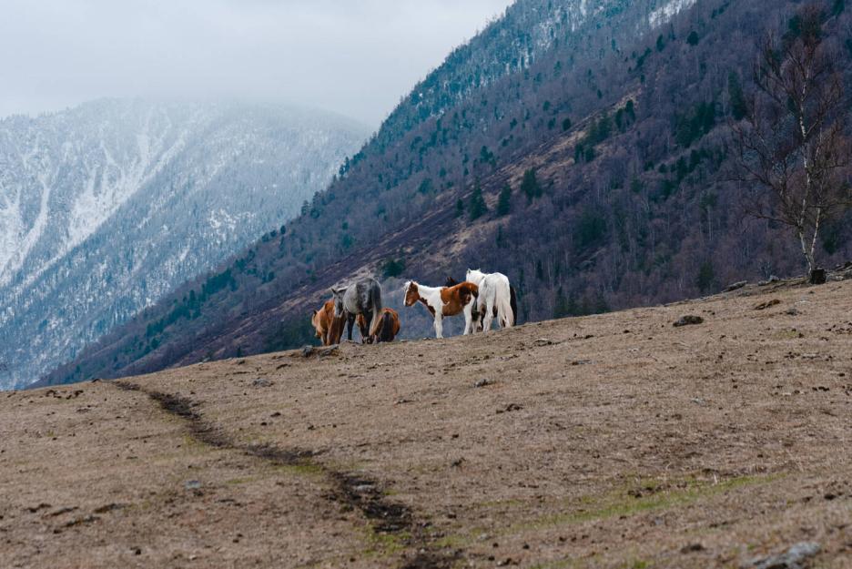 фото img_6944f89be4a03.jpg