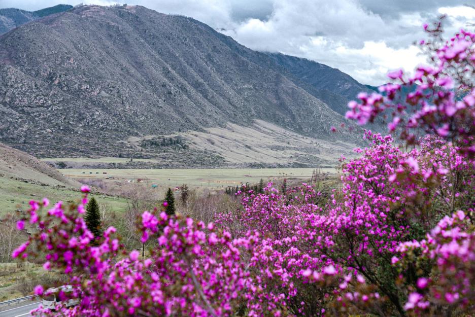 фото img_6944f89d3e10e.jpg