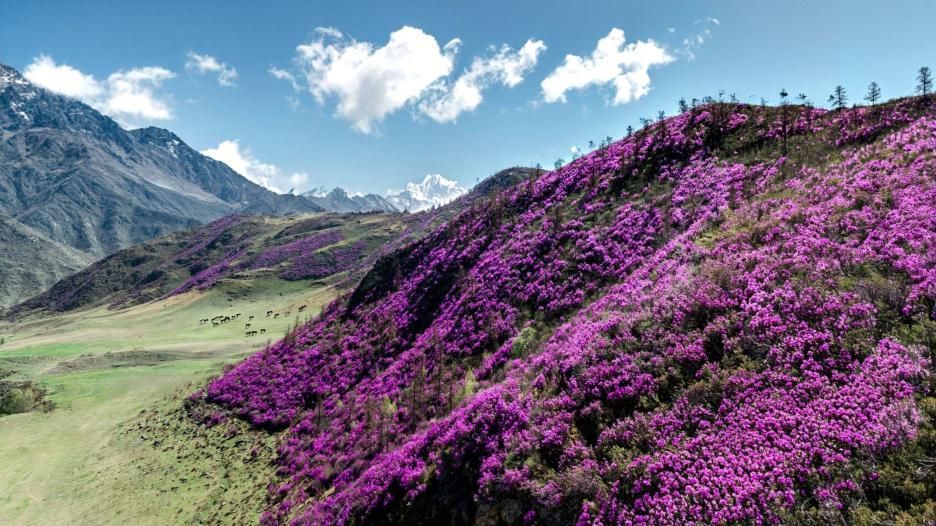 фото img_6944f89ed9664.jpg