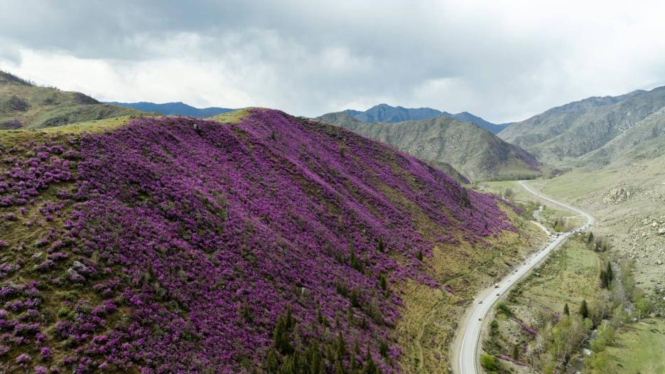 фото img_6944f8a1b3490.jpg