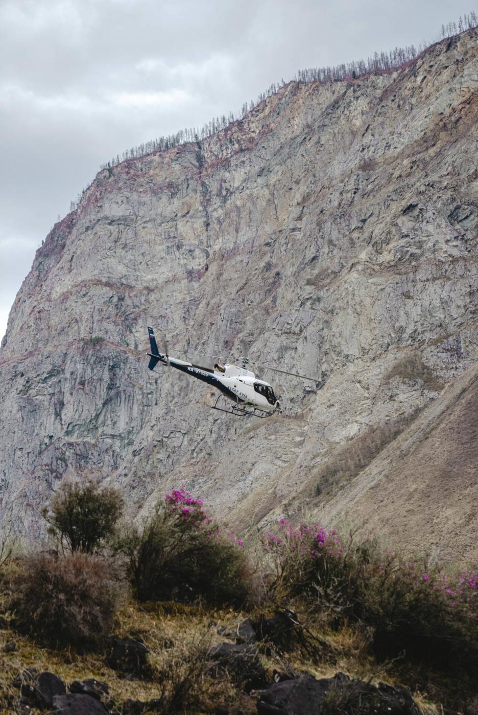 фото img_69455029e8672.jpg