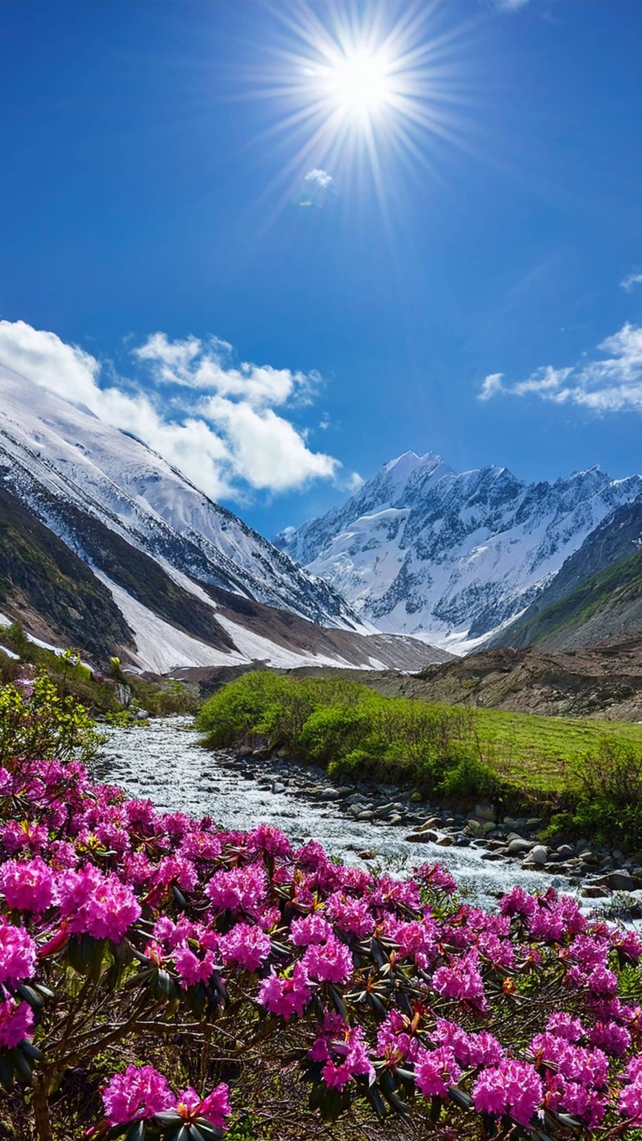 фото img_694550953990b.jpg