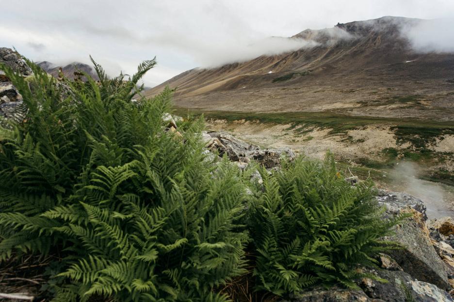 фото img_694c16142f449.jpg