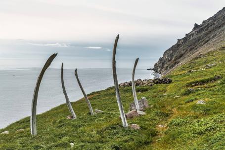 Китовая аллея