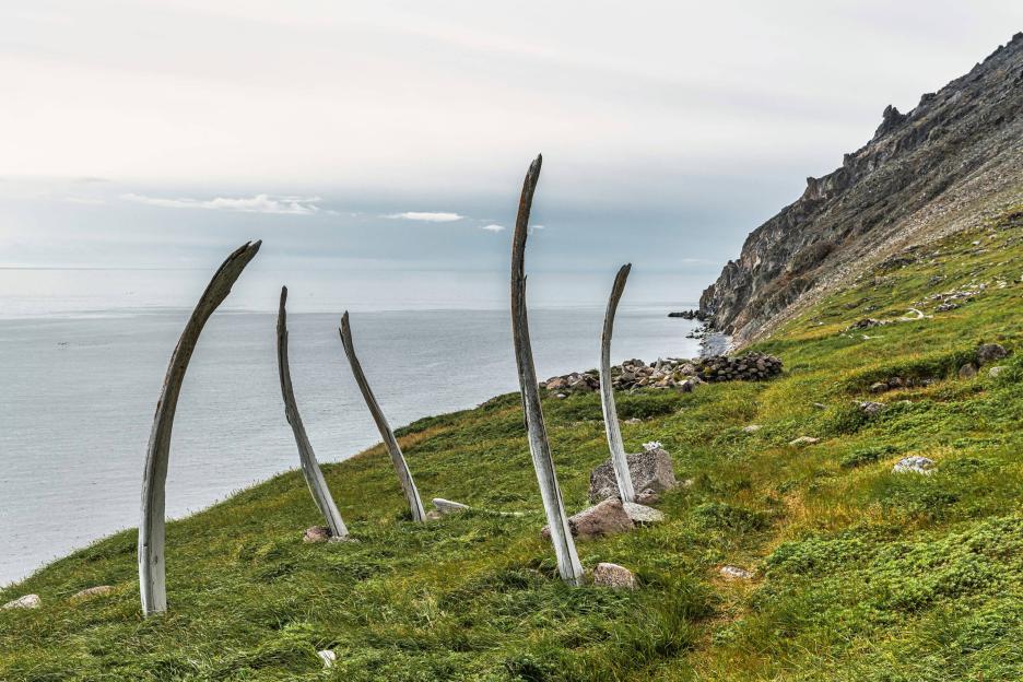 фото img_694d064e8afe3.jpg