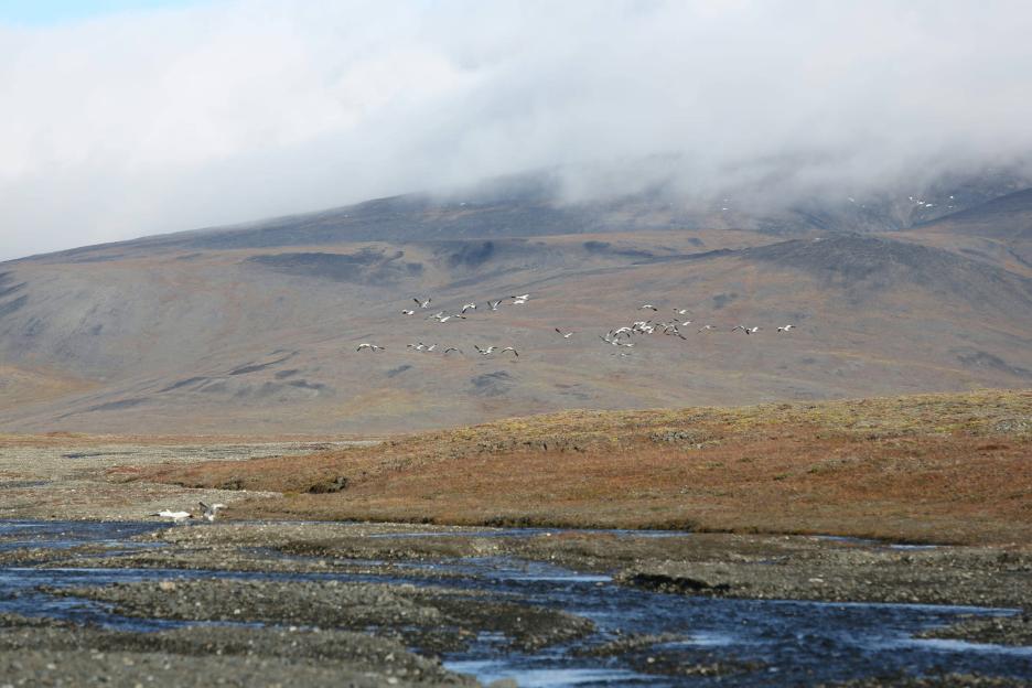 фото img_694d0a2a7c310.jpg