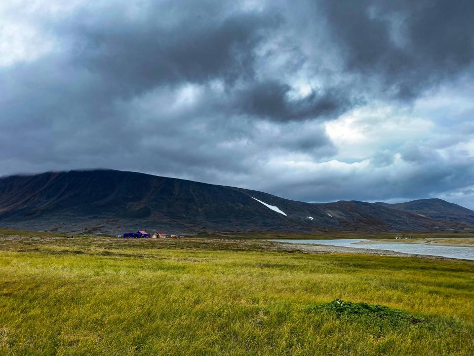 фото img_694d27d787f44.jpg