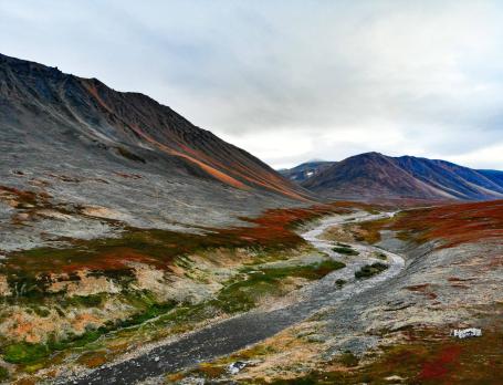 Виды Чукотки