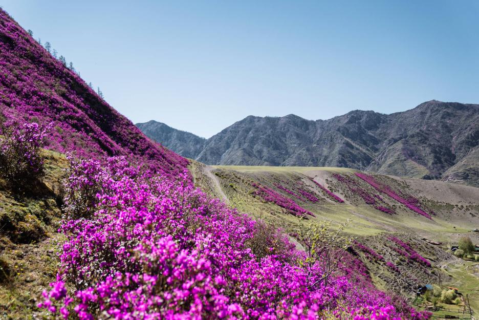 фото img_694d2ed5df2b9.jpg