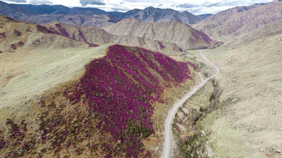 фото img_694d2edd23038.jpg