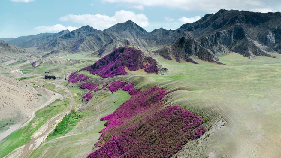 фото img_694d2f0d05a66.jpg