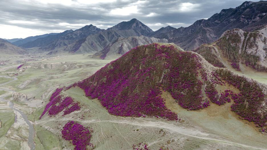 фото img_694d316733de3.jpg