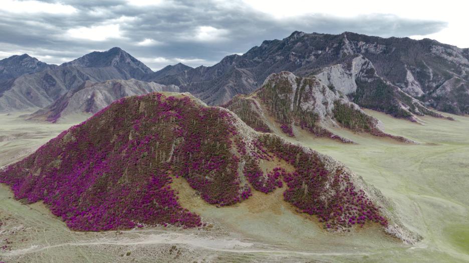 фото img_694d3168c1ef0.jpg