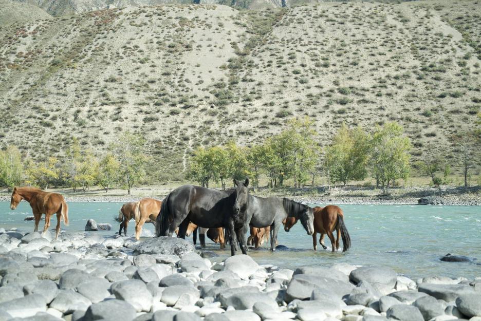 фото img_694ea757216be.jpg